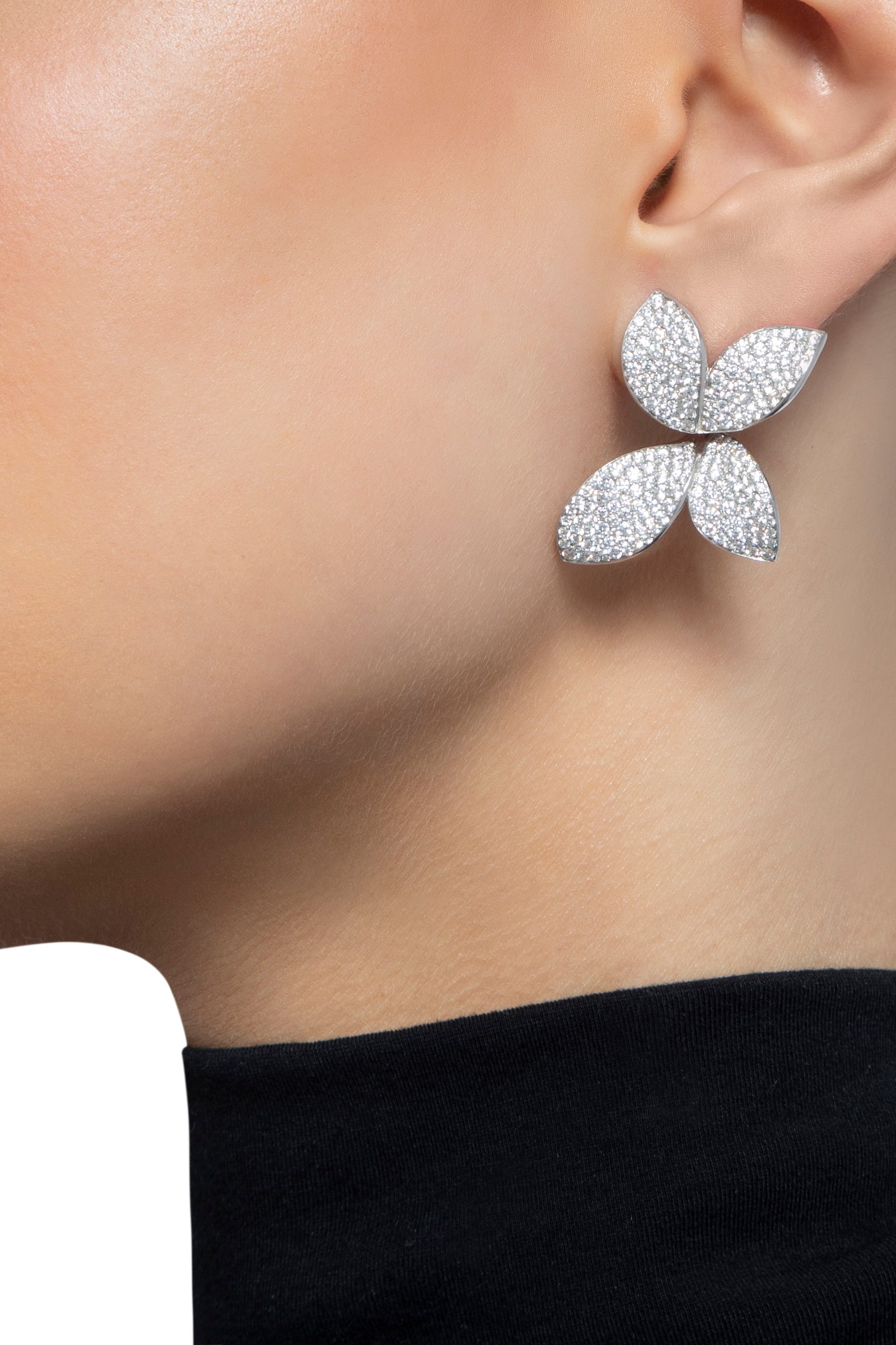 Pasquale Bruni - Giardini Segreti - White Gold - NZ
