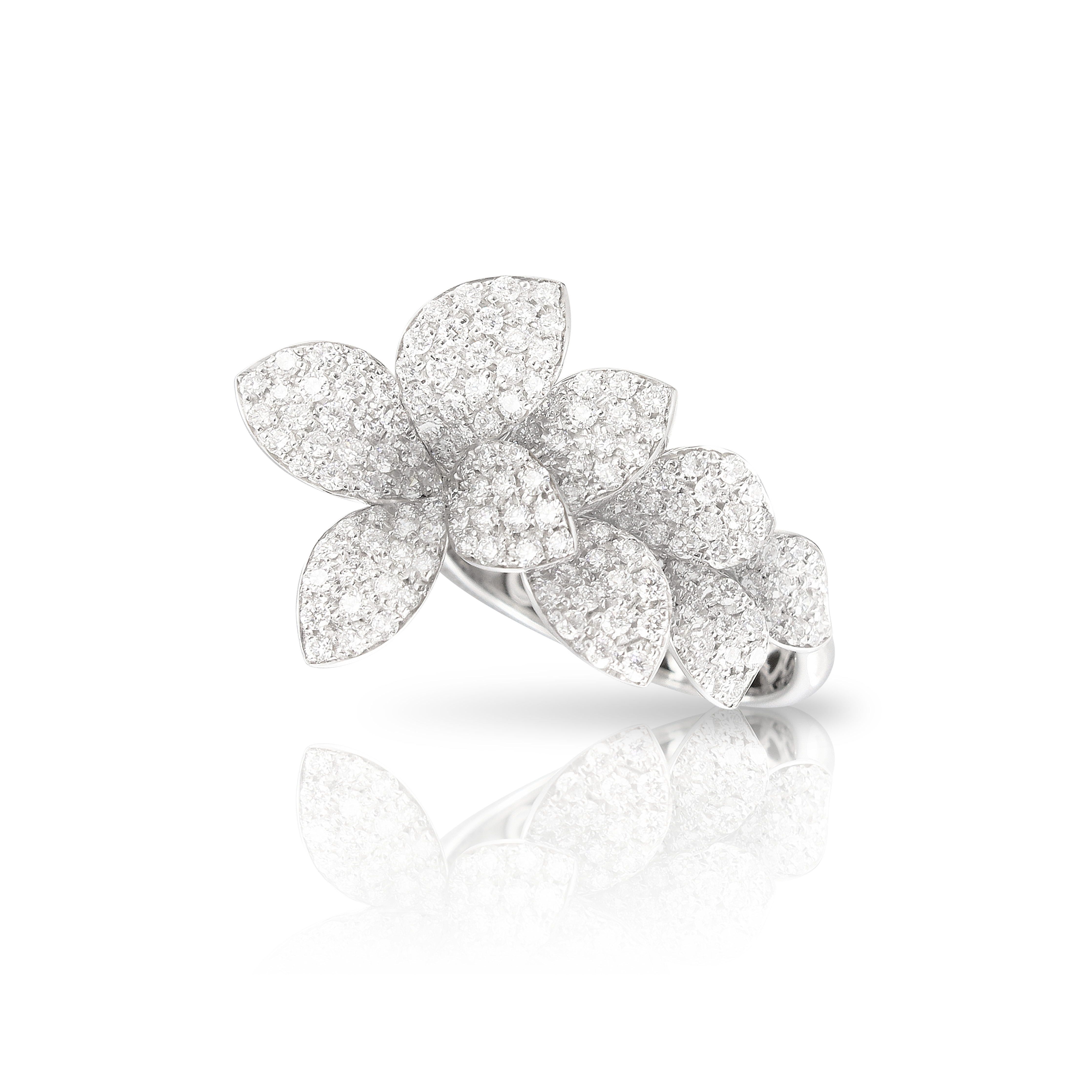Pasquale Bruni - Petit Garden - White Gold - NZ
