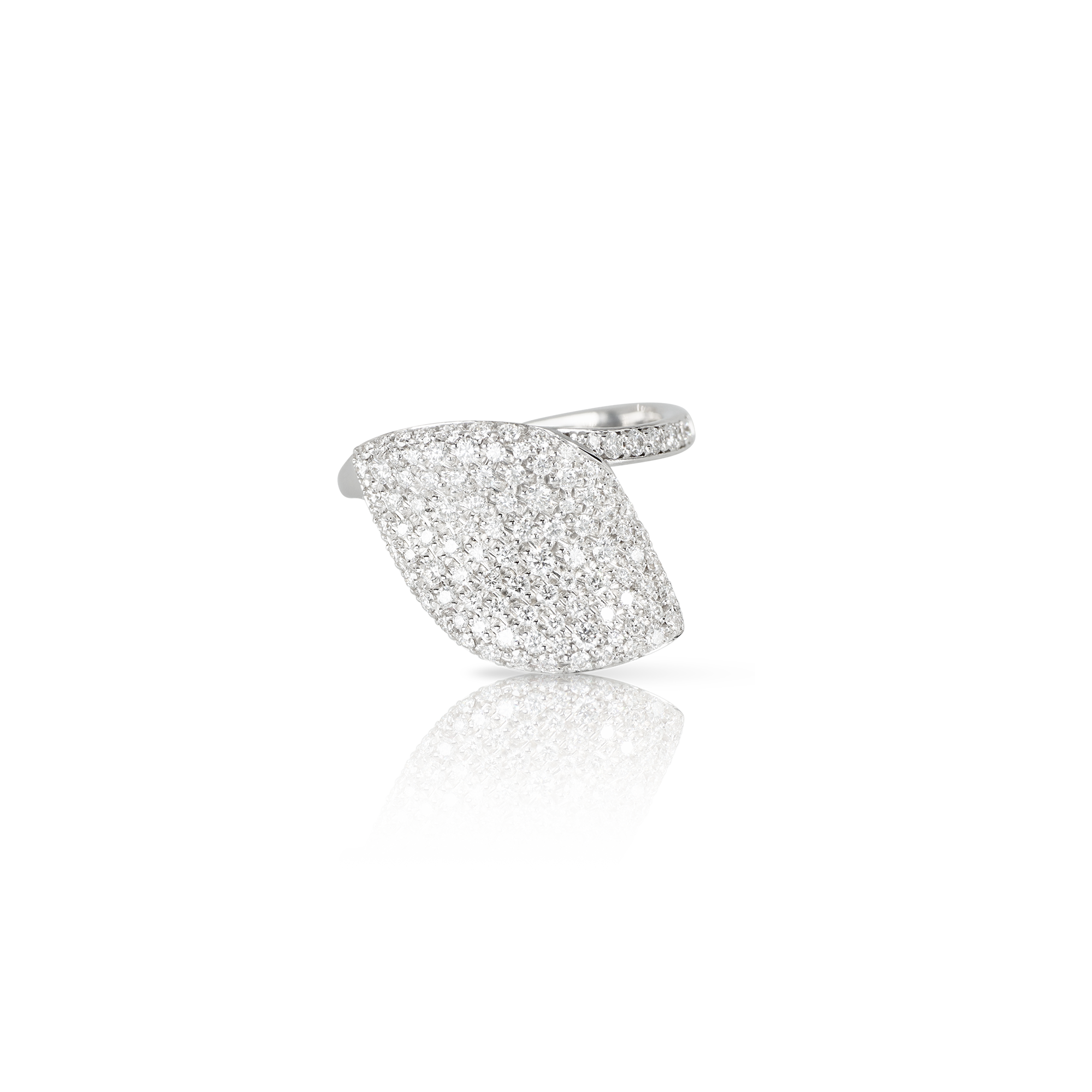 Pasquale Bruni - Aleluiá - White Gold - NZ