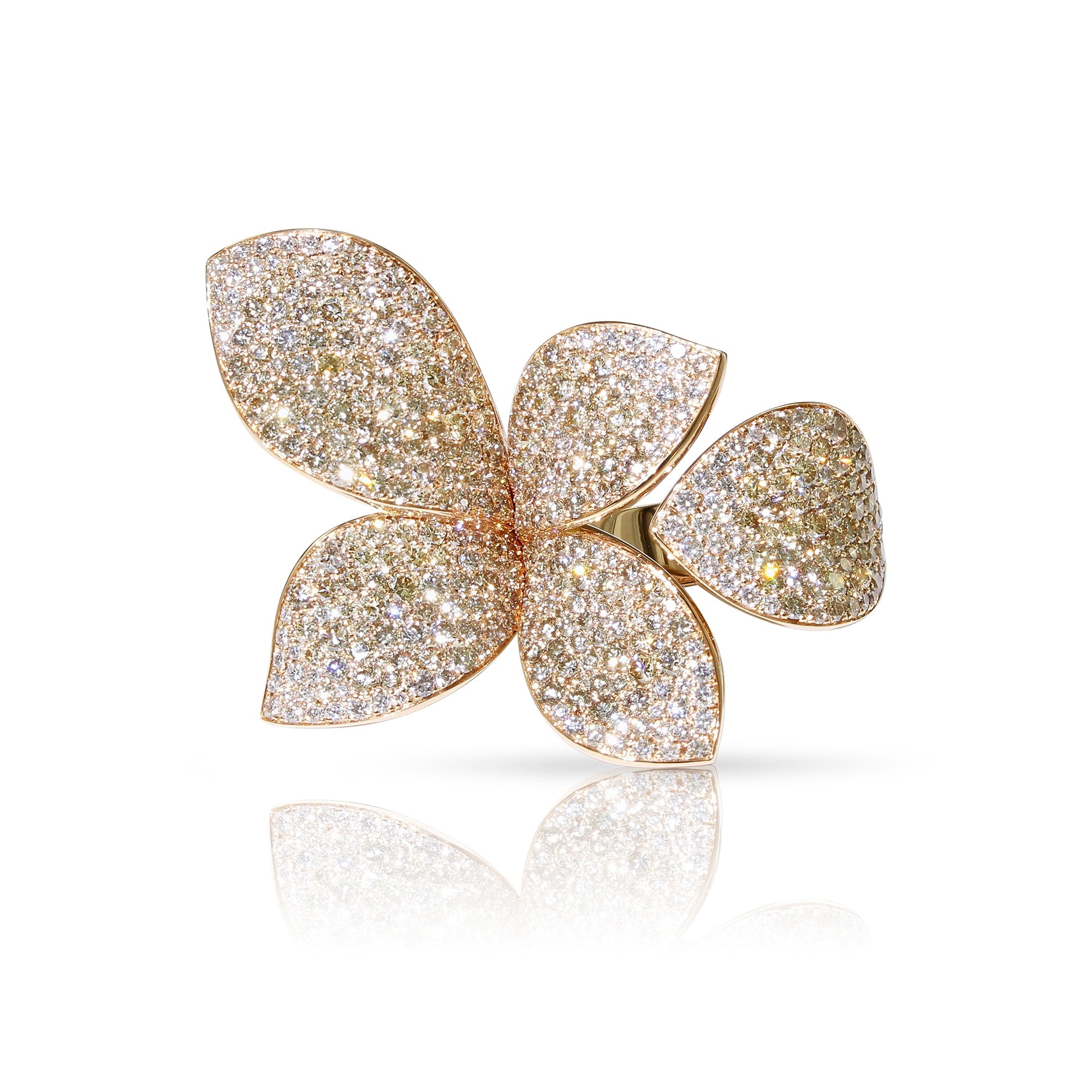 Pasquale Bruni - Giardini Segreti - Rose Gold - NZ
