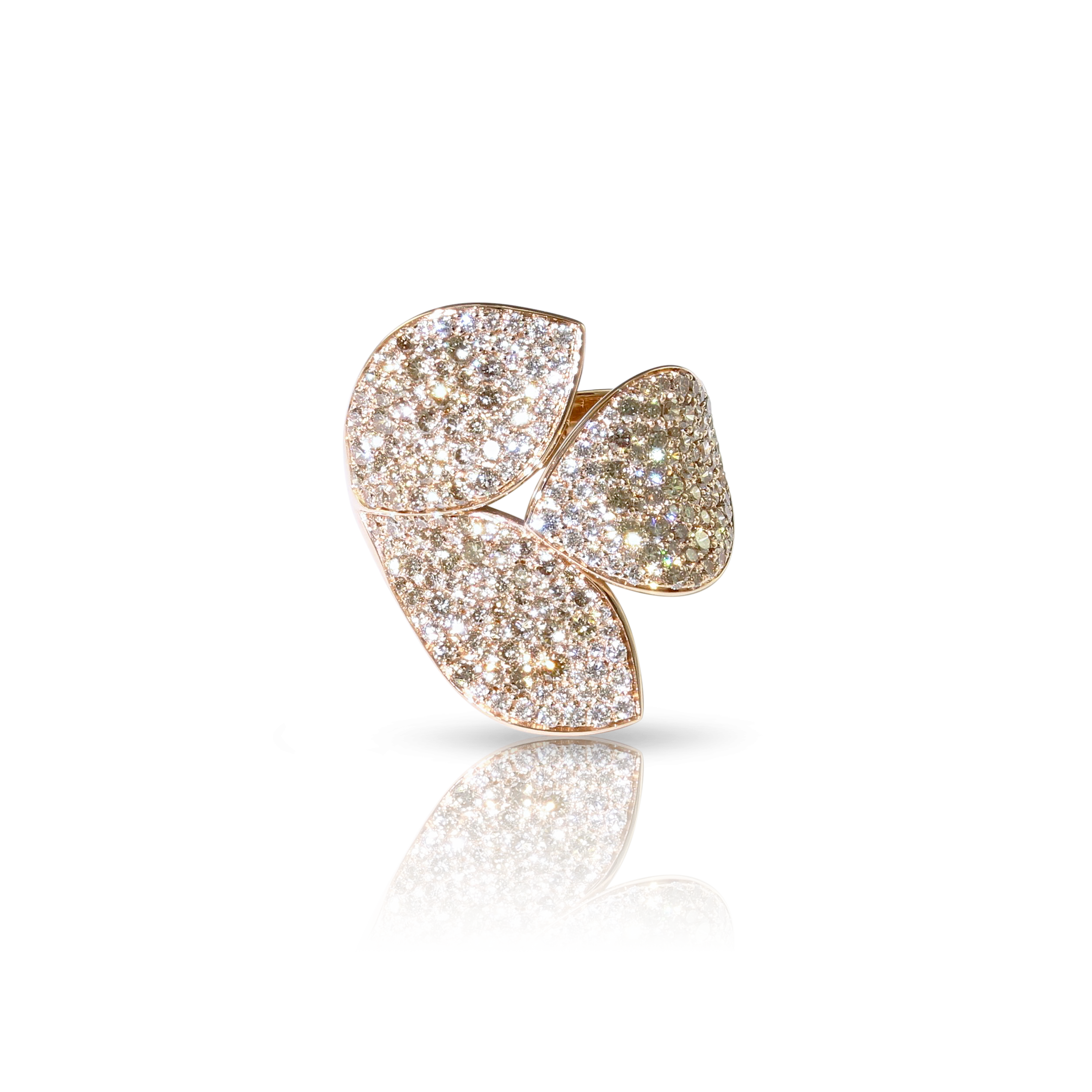 Pasquale Bruni - Giardini Segreti - Rose Gold - NZ