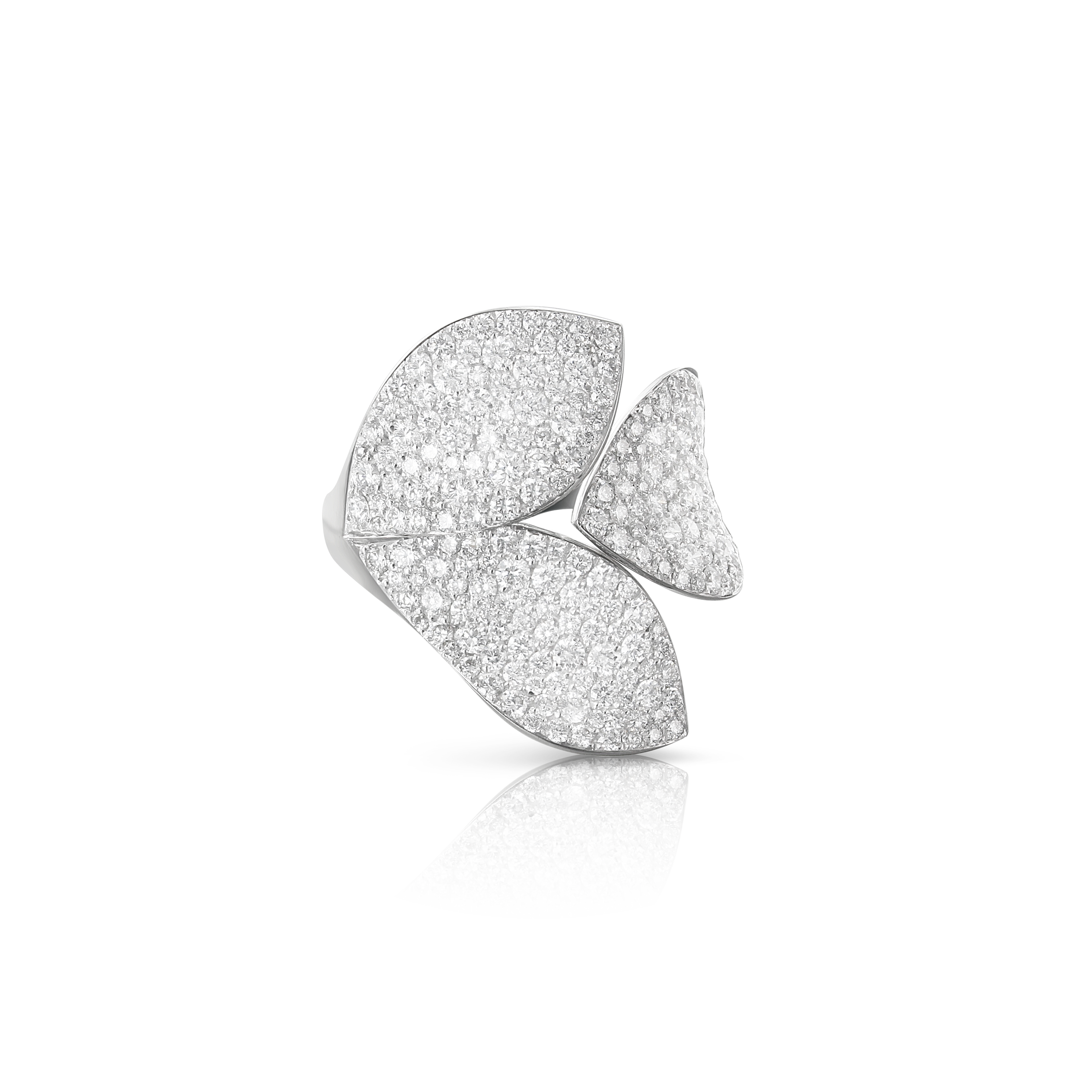 Pasquale Bruni- Giardini - White Gold - NZ