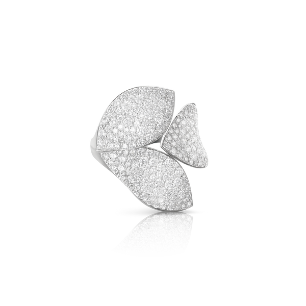 Pasquale Bruni- Giardini - White Gold - NZ