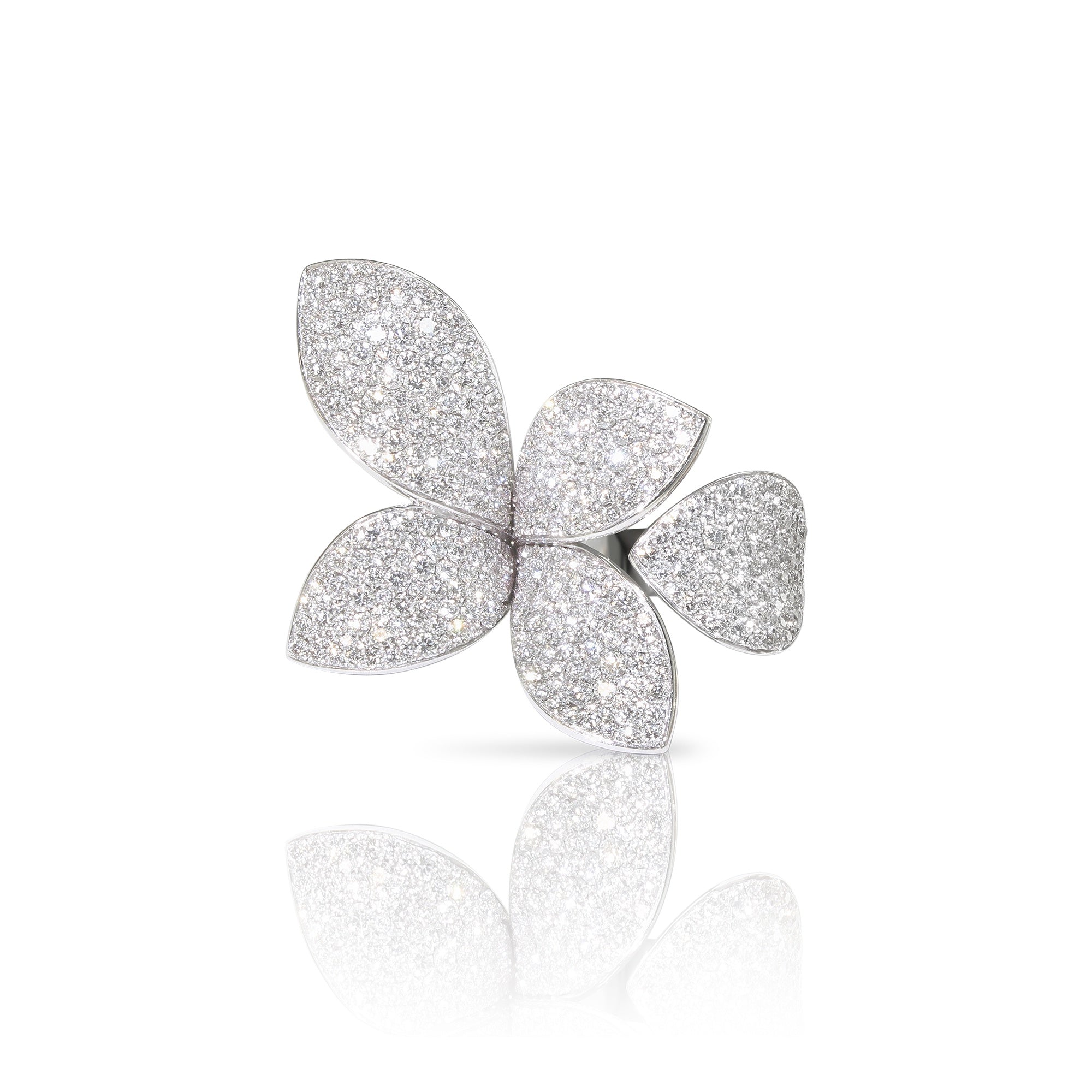 Pasquale Bruni - Giardini Segreti - White Gold - NZ