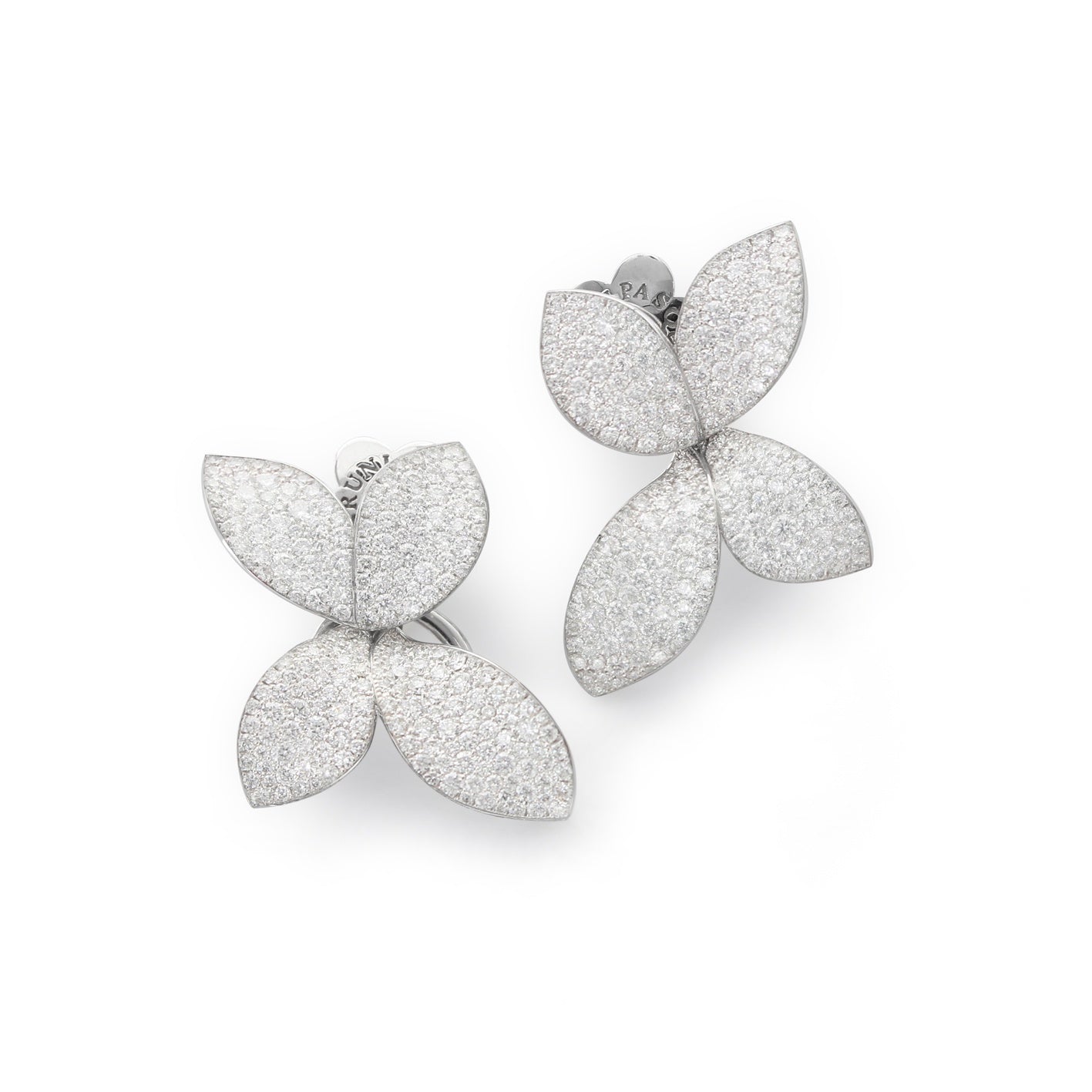 Pasquale Bruni - Giardini Segreti - White Gold - NZ