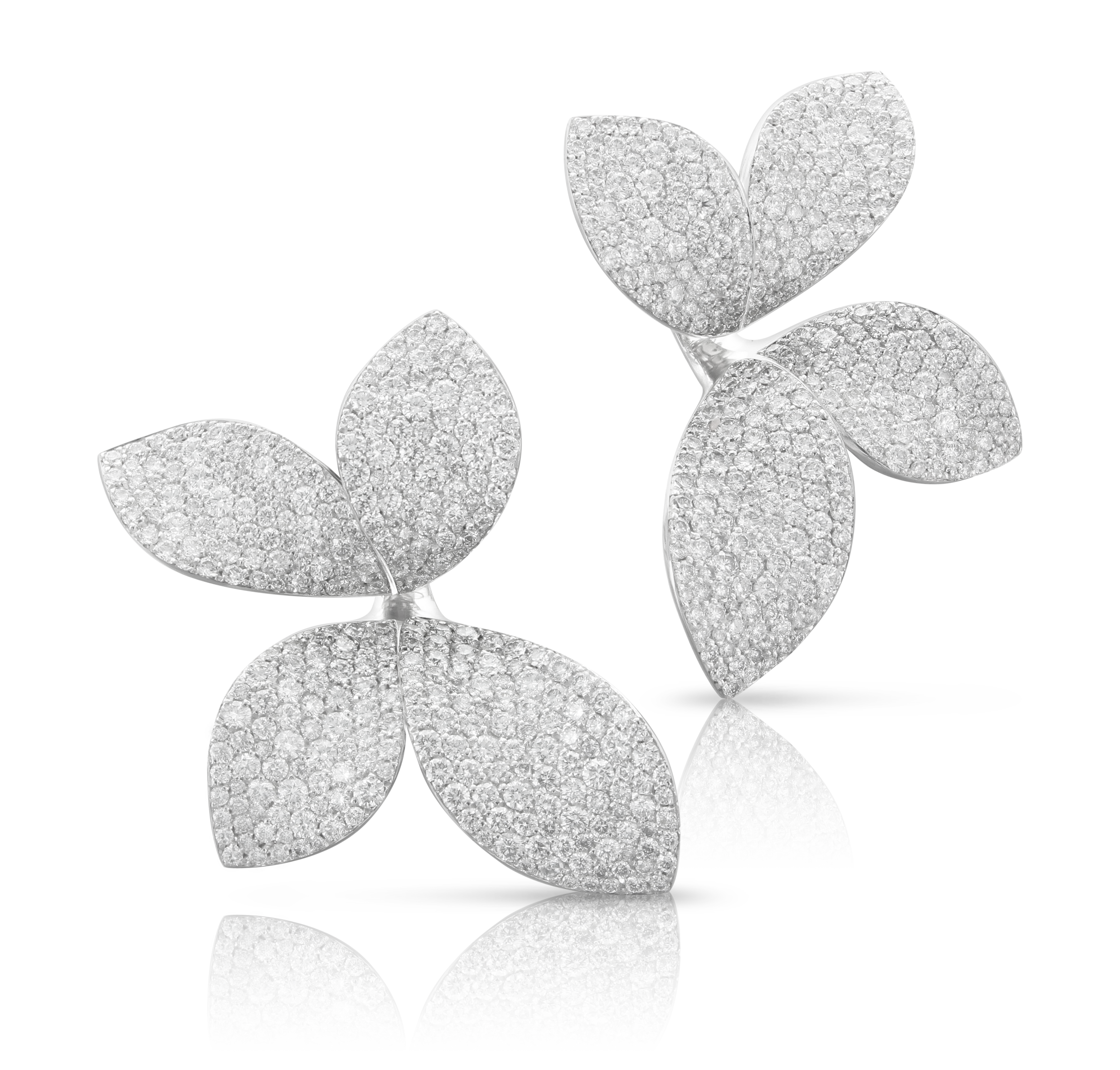 Pasquale Bruni - Giardini Segreti - White Gold - NZ