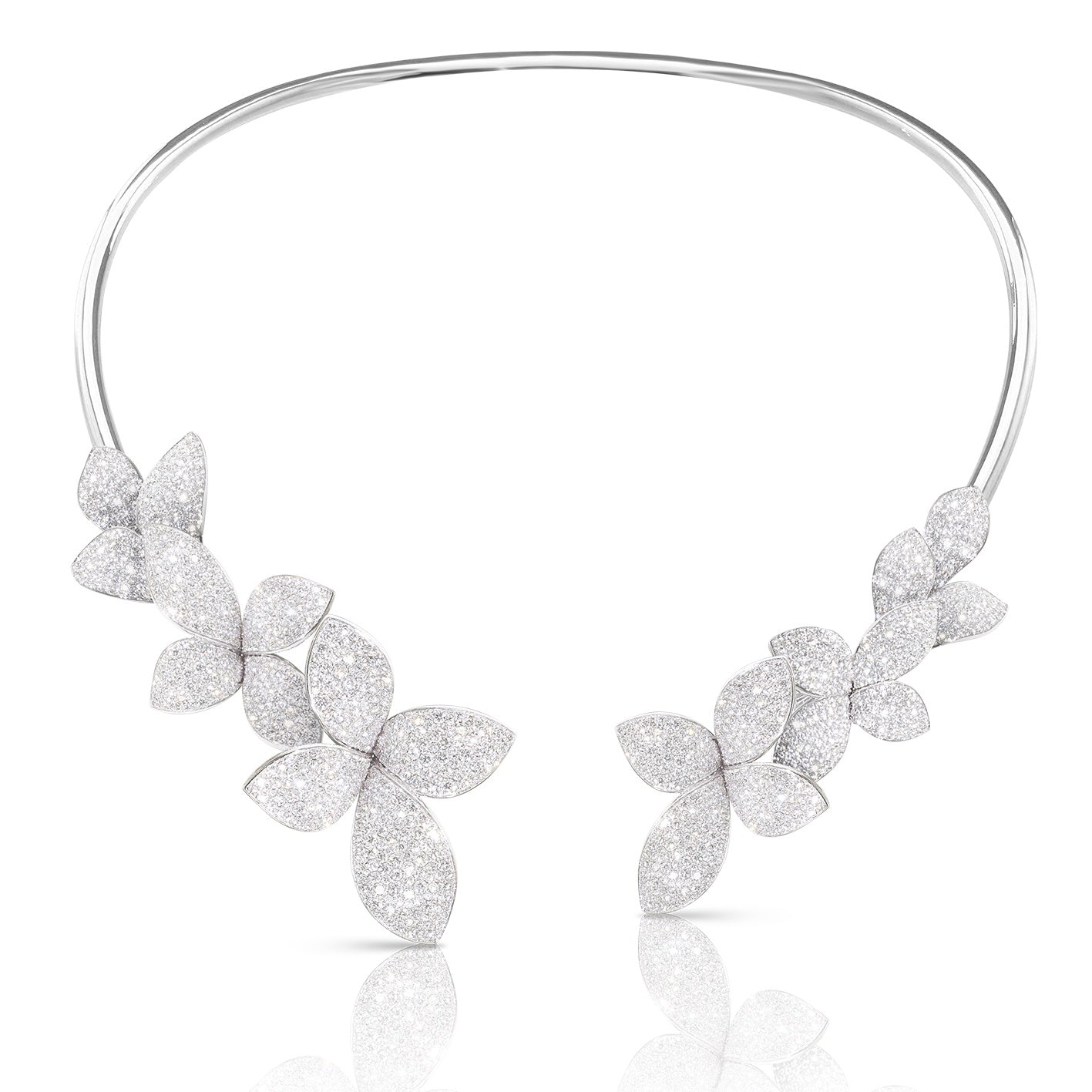 Pasquale Bruni - Giardini Segreti - White Gold - NZ