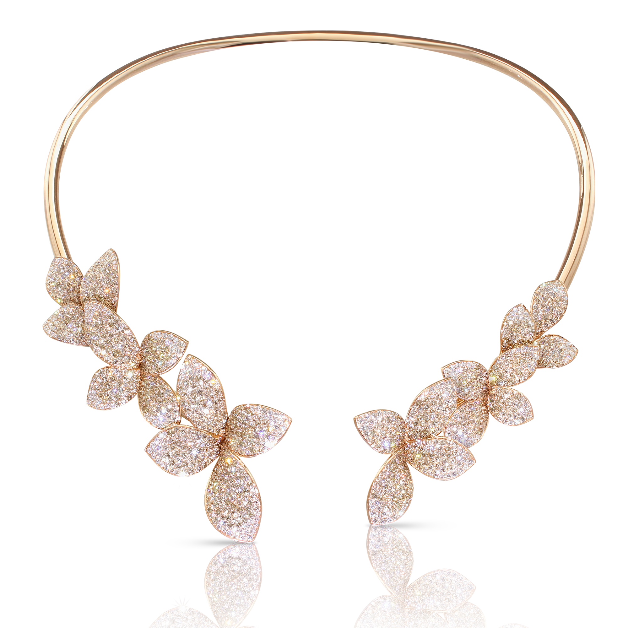 Pasquale Bruni - Giardini Segreti - Rose Gold - NZ