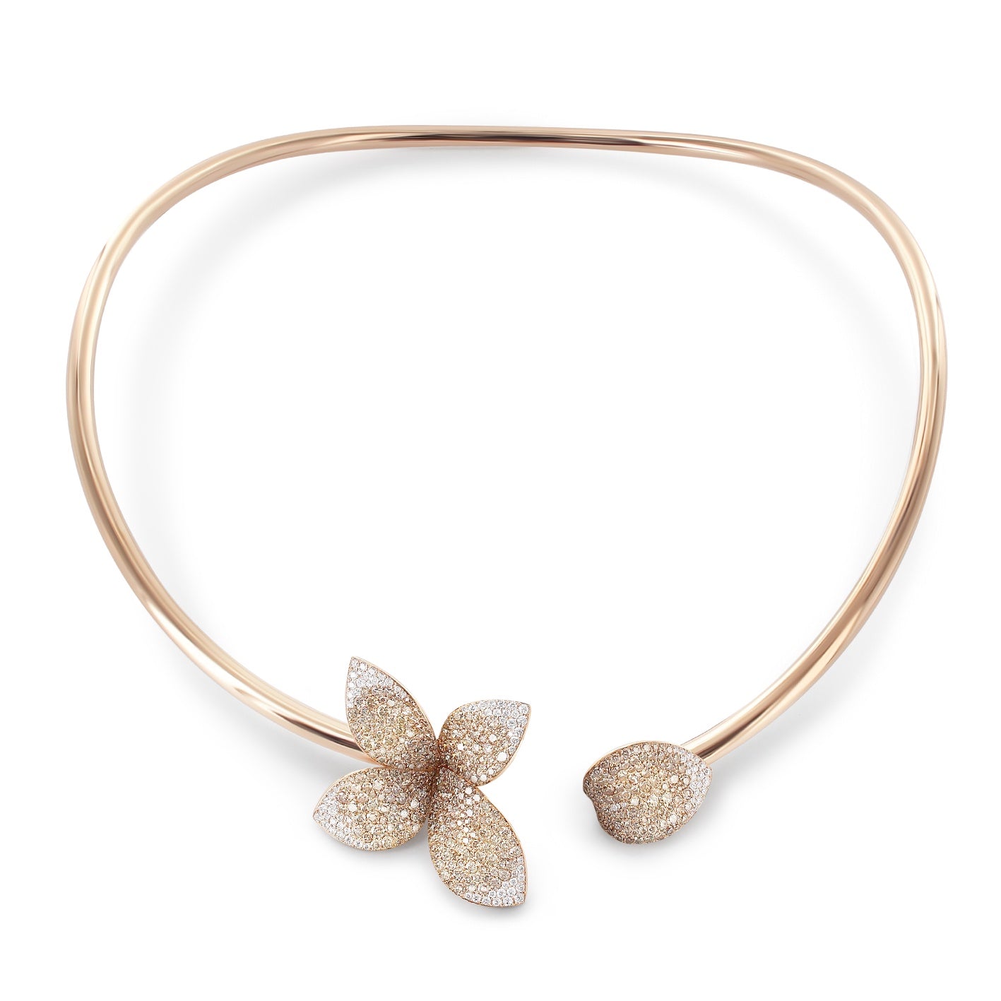 Pasquale Bruni - Giardini Segreti - Rose Gold - NZ