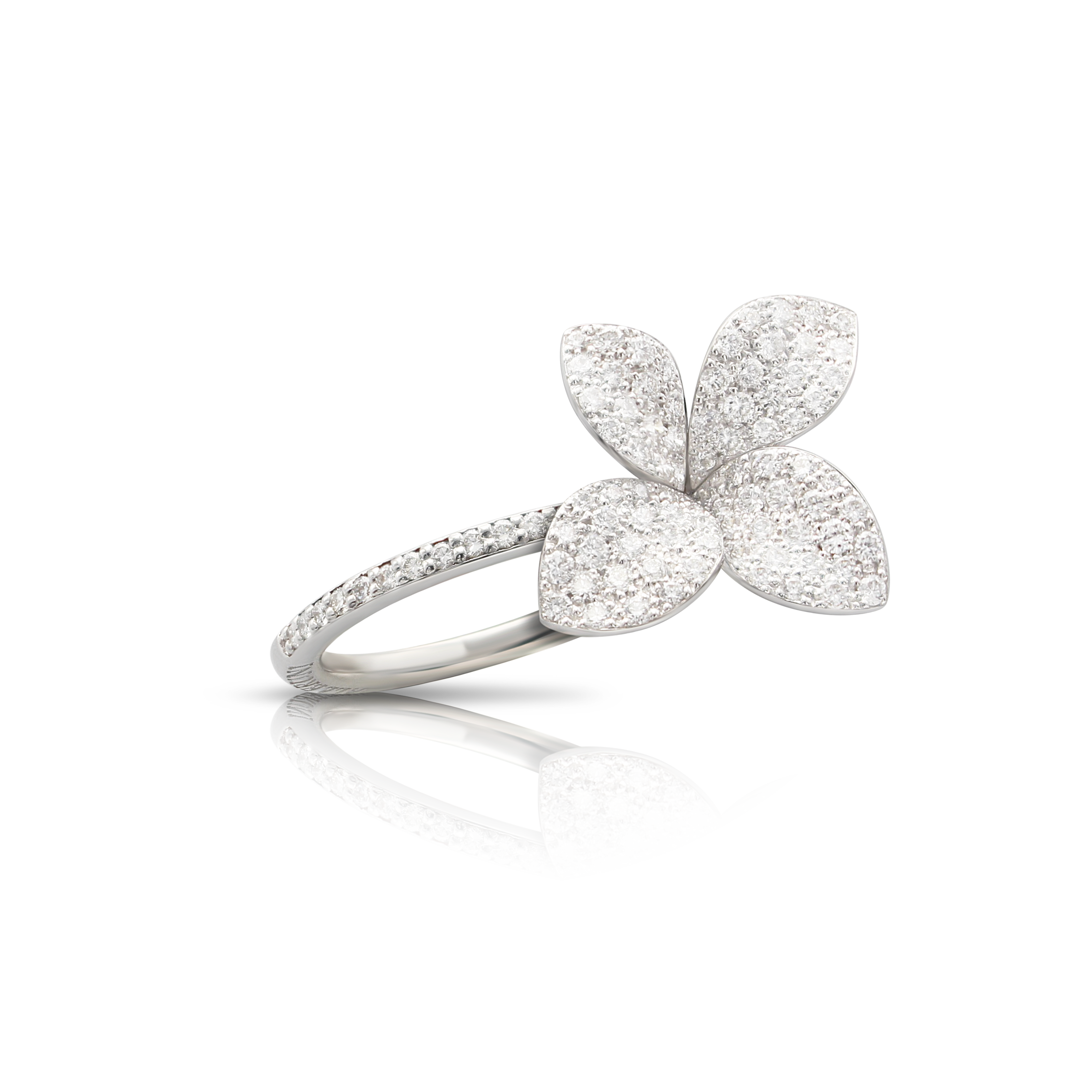 Pasquale Bruni - Petit Garden - White Gold - NZ