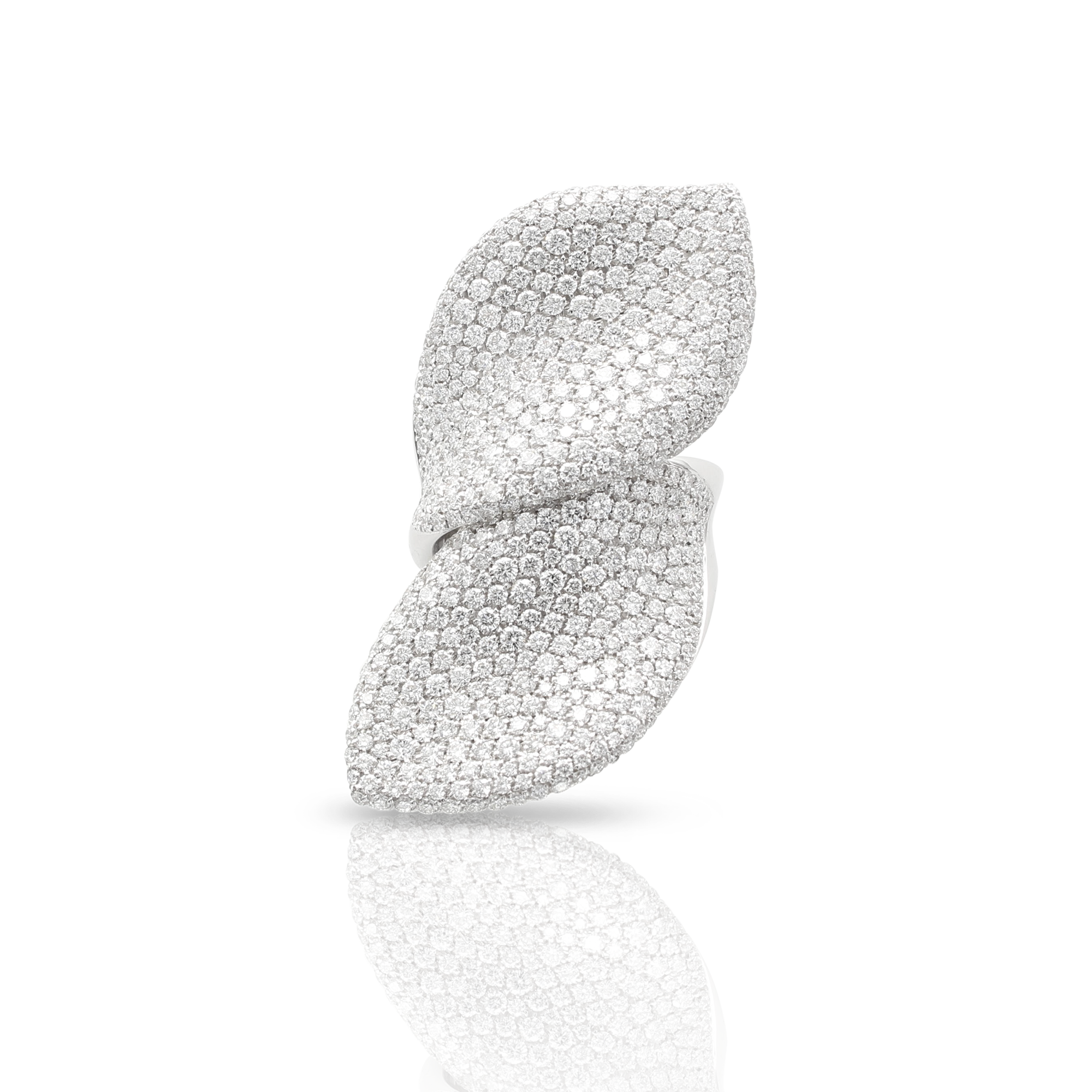 Pasquale Bruni - Aleluiá - White Gold - NZ