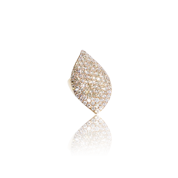 Pasquale Bruni - Aleluiá - Rose Gold - NZ