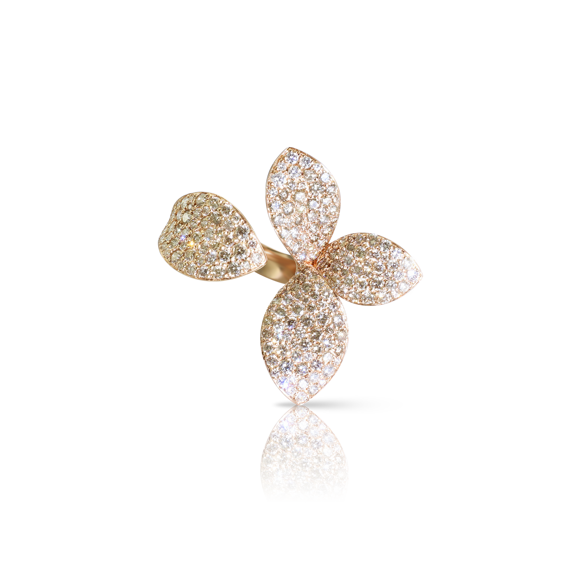 Pasquale Bruni - Giardini Segreti - Rose Gold - NZ