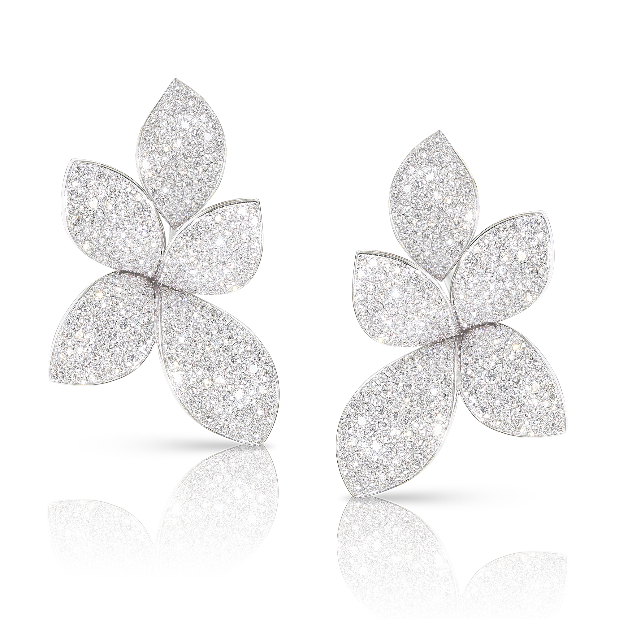 Pasquale Bruni - Giardini Segreti - White Gold - NZ