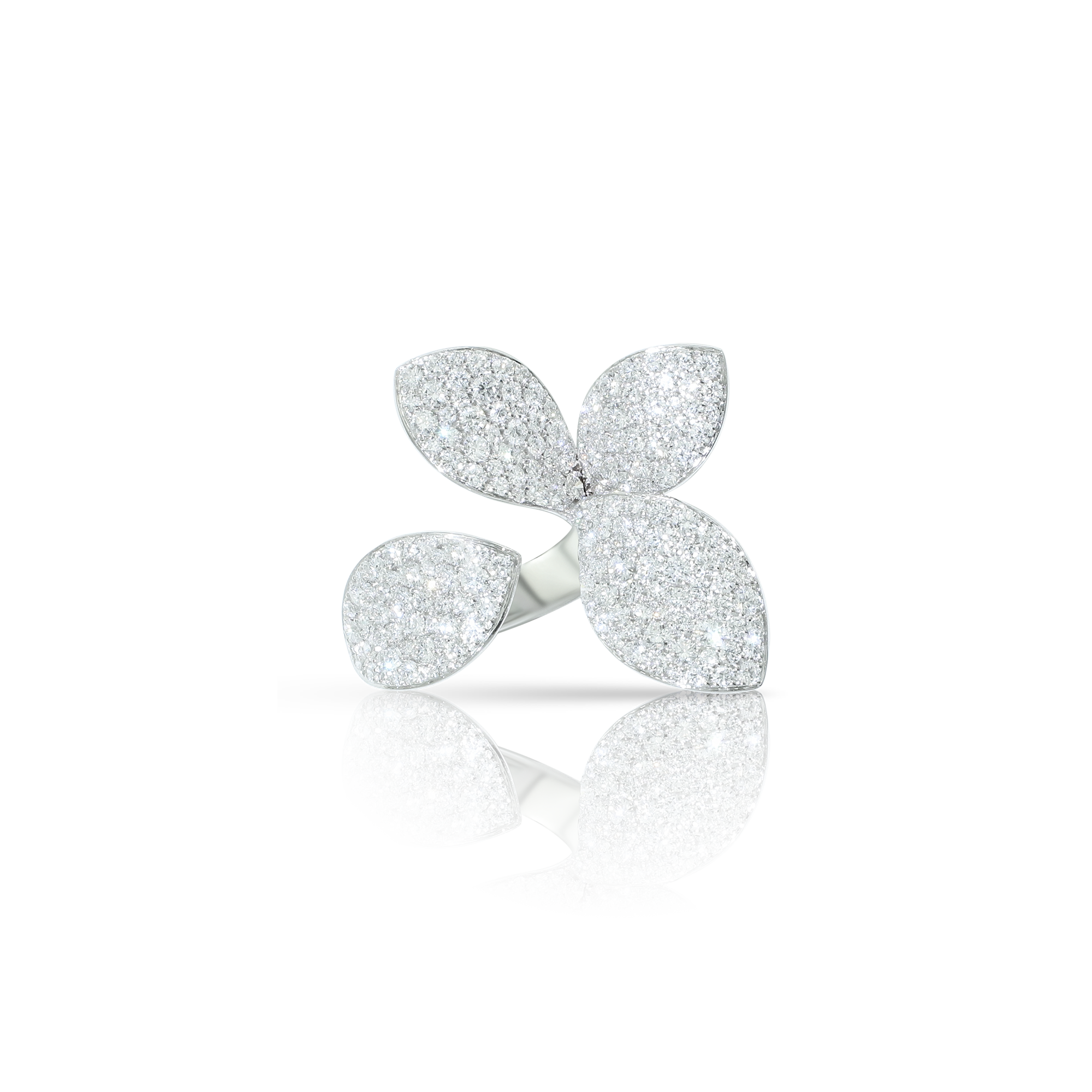 Pasquale Bruni - Giardini Segreti - White Gold - NZ