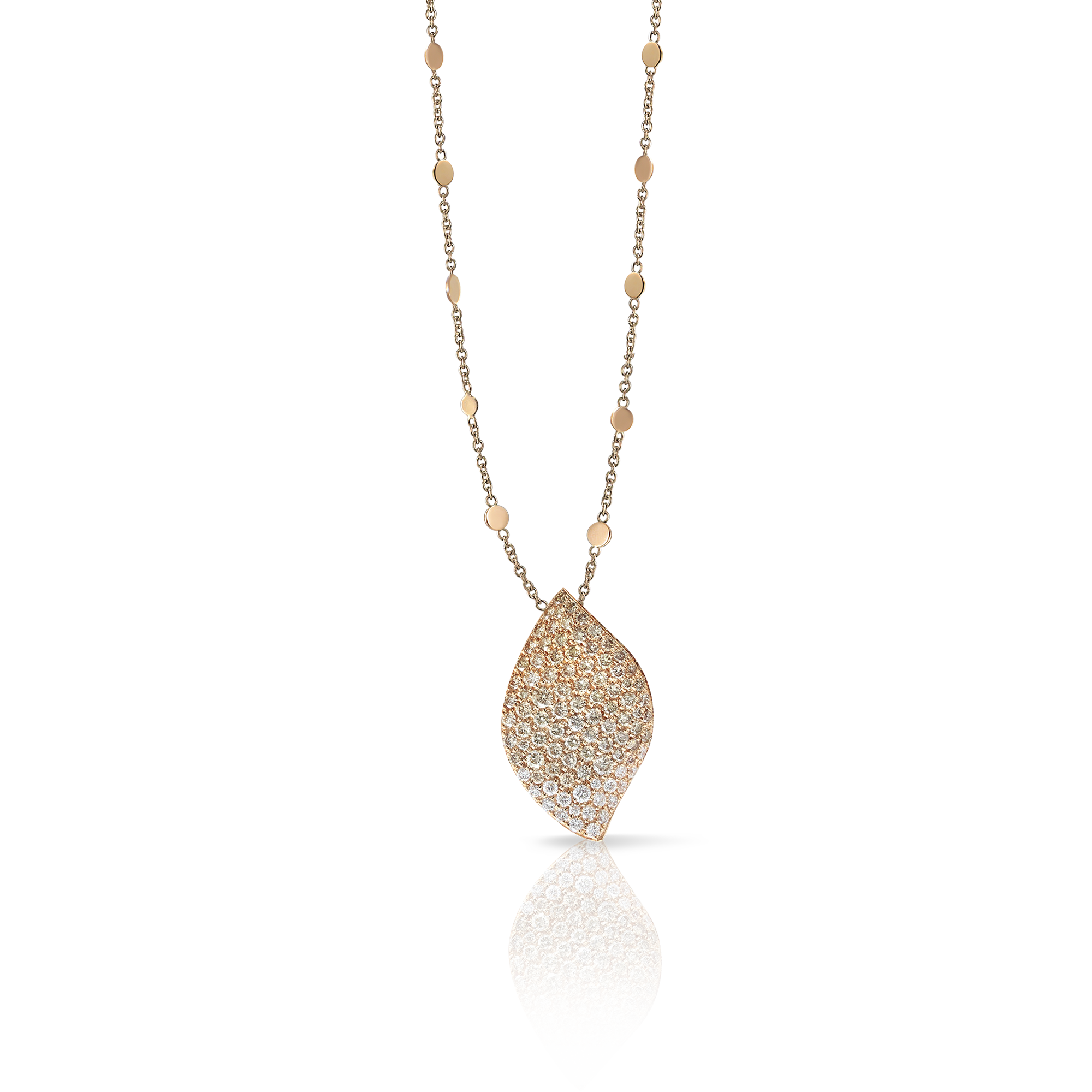 Pasquale Bruni - Aleluiá - Rose Gold - NZ