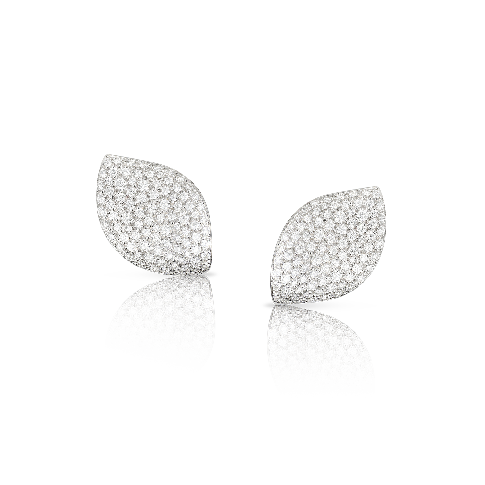 Pasquale Bruni - Aleluiá - White Gold - NZ