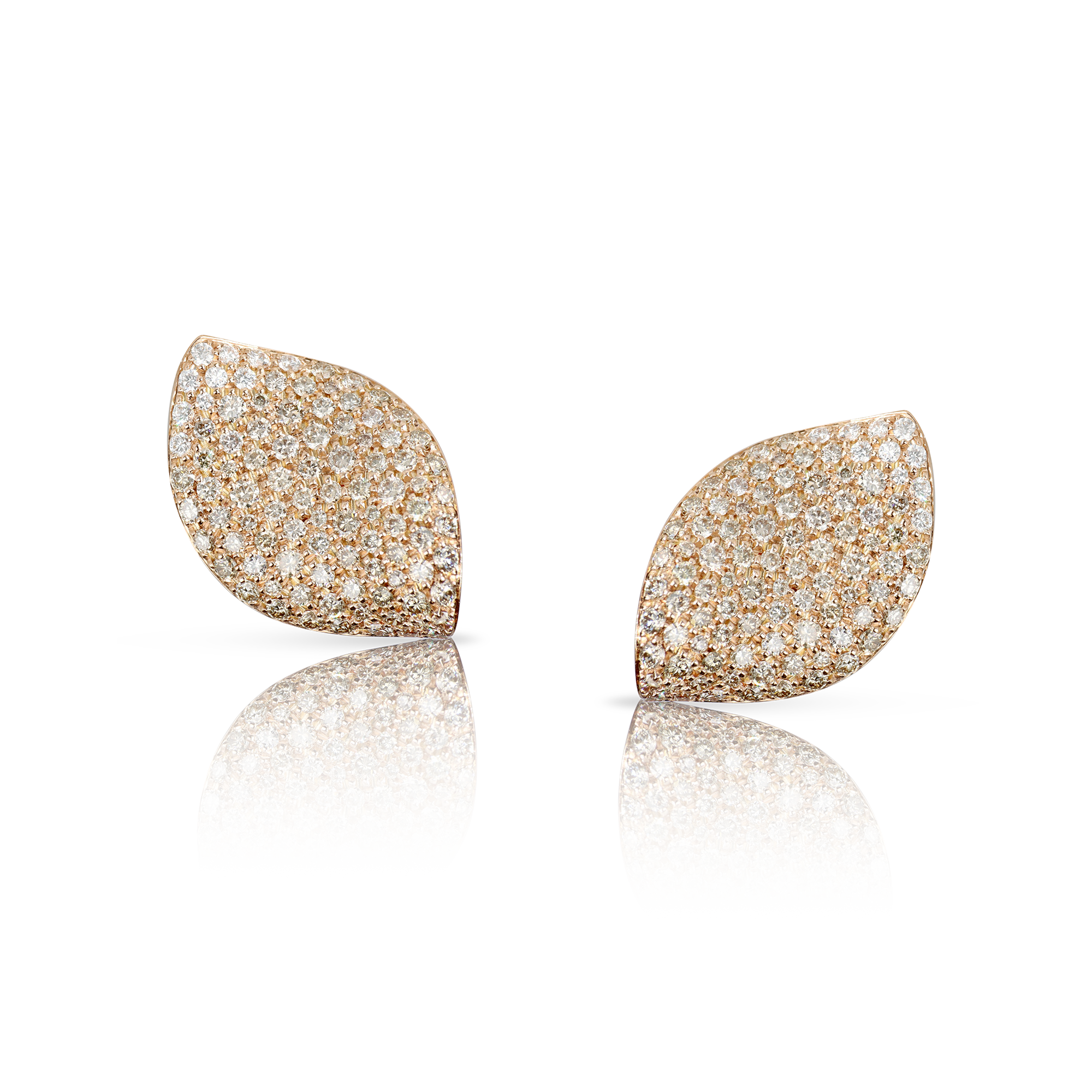 Pasquale Bruni - Aleluiá - Rose Gold - NZ