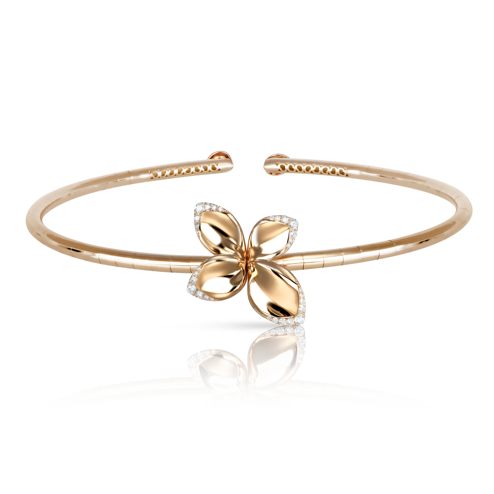 Pasquale Bruni - Giardini Segreti - Rose Gold - NZ