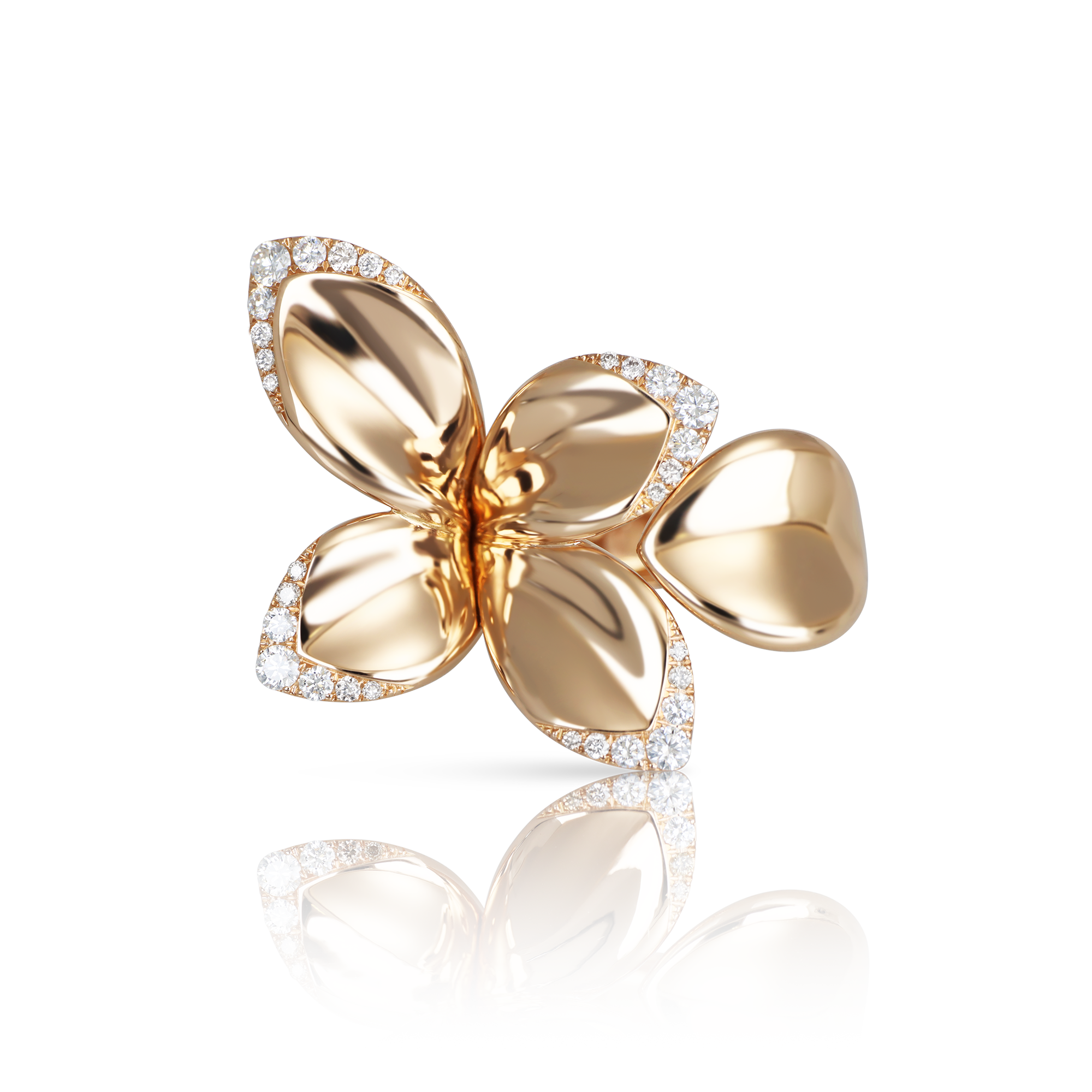 Pasquale Bruni - Giardini Segreti - Rose Gold - NZ