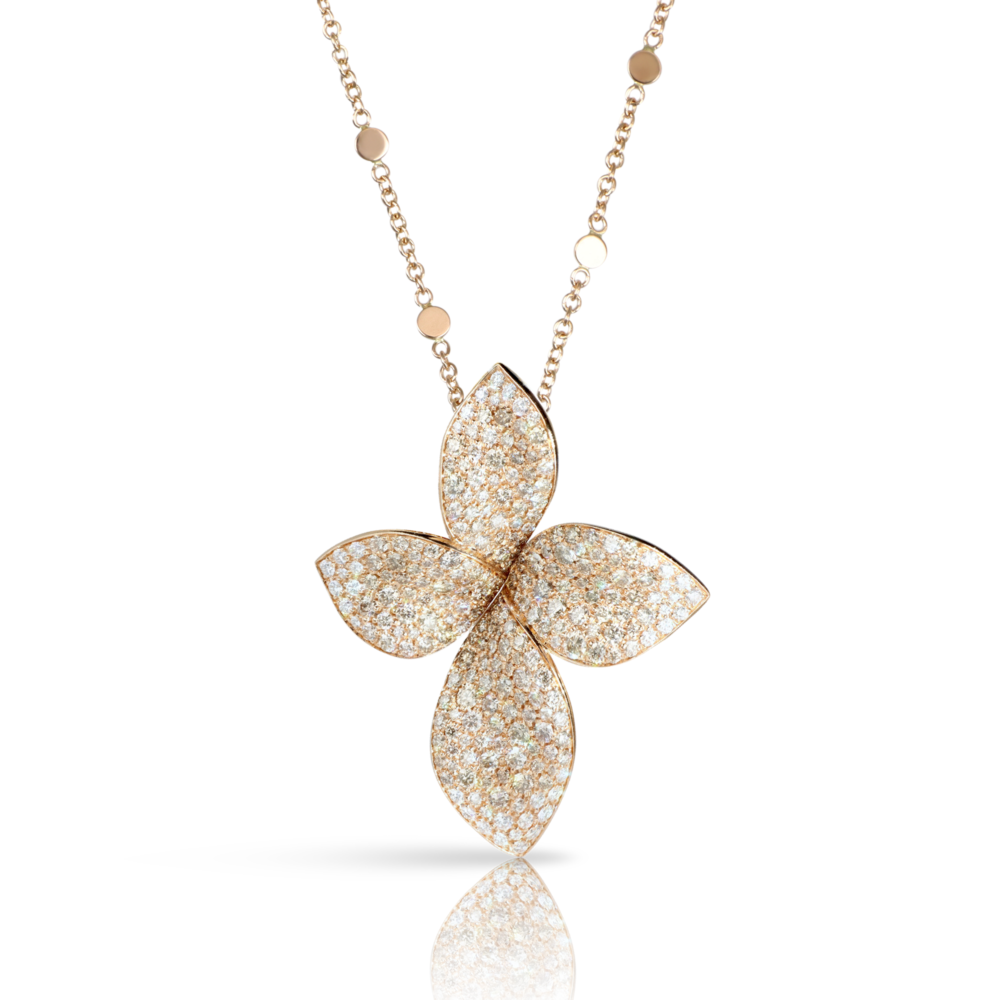 Pasquale Bruni - Giardini Segreti - Rose Gold - NZ