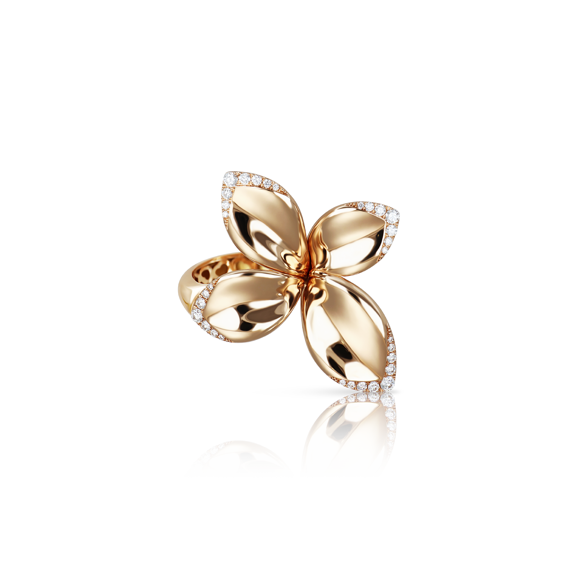 Pasquale Bruni - Giardini Segreti - Rose Gold - NZ