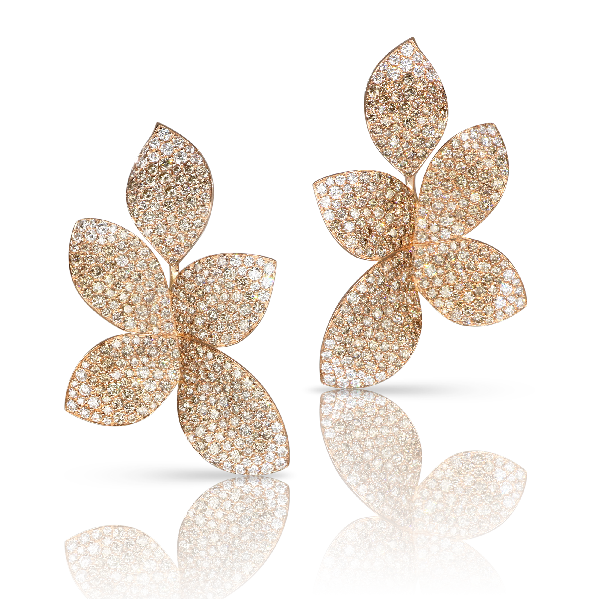 Pasquale Bruni - Giardini Segreti - Rose Gold - NZ