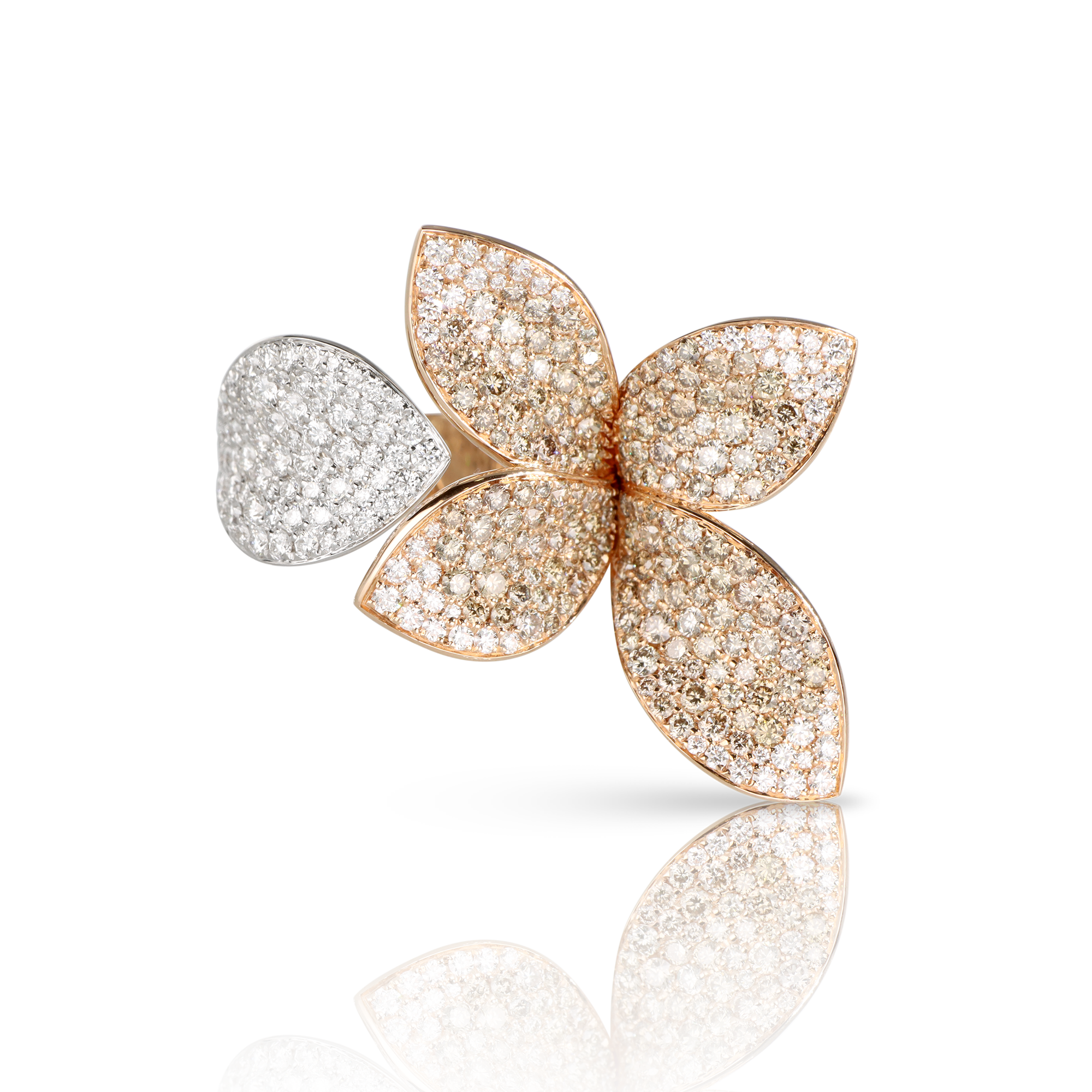 Pasquale Bruni - Giardini Segreti - NZ