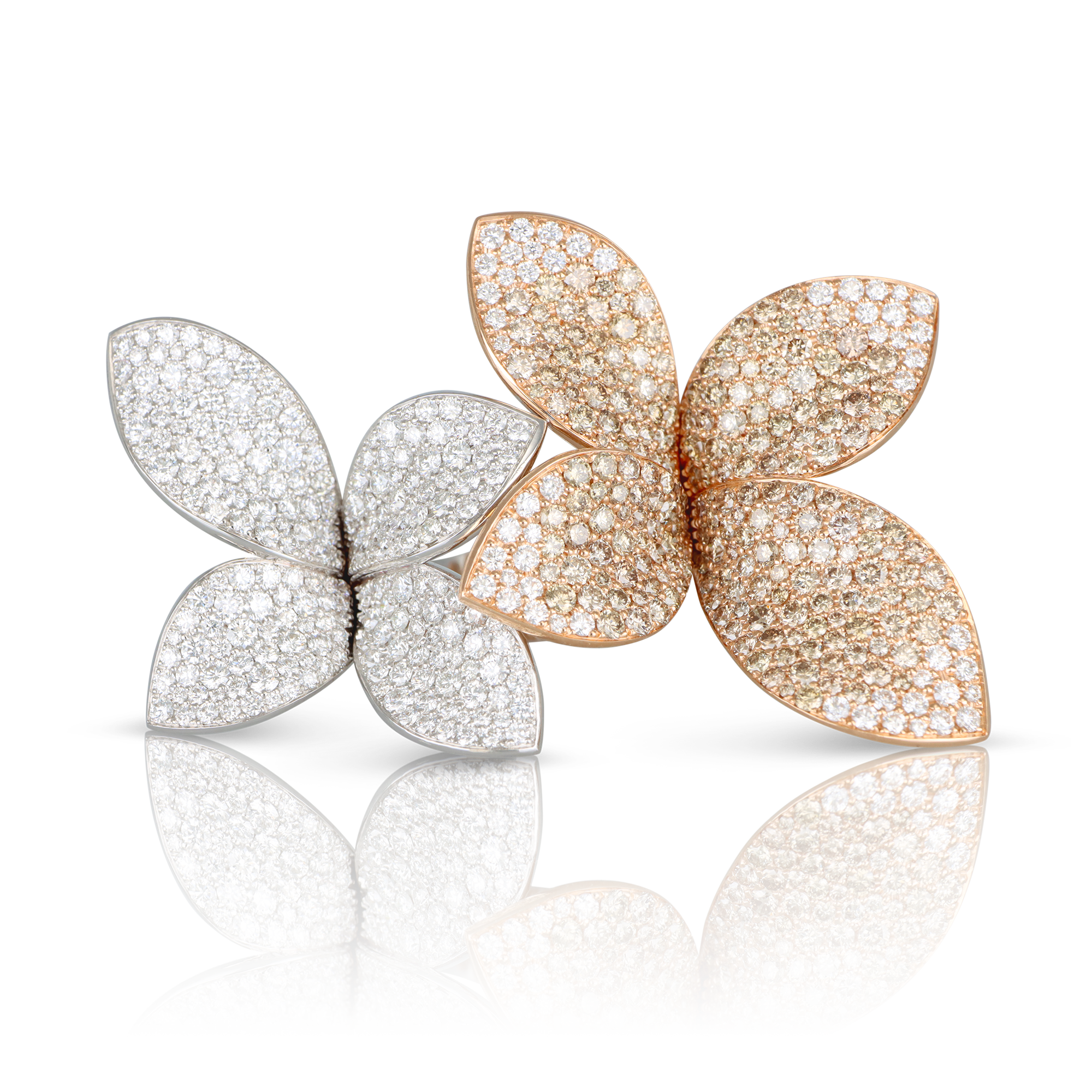 Pasquale Bruni - Giardini Segreti - NZ