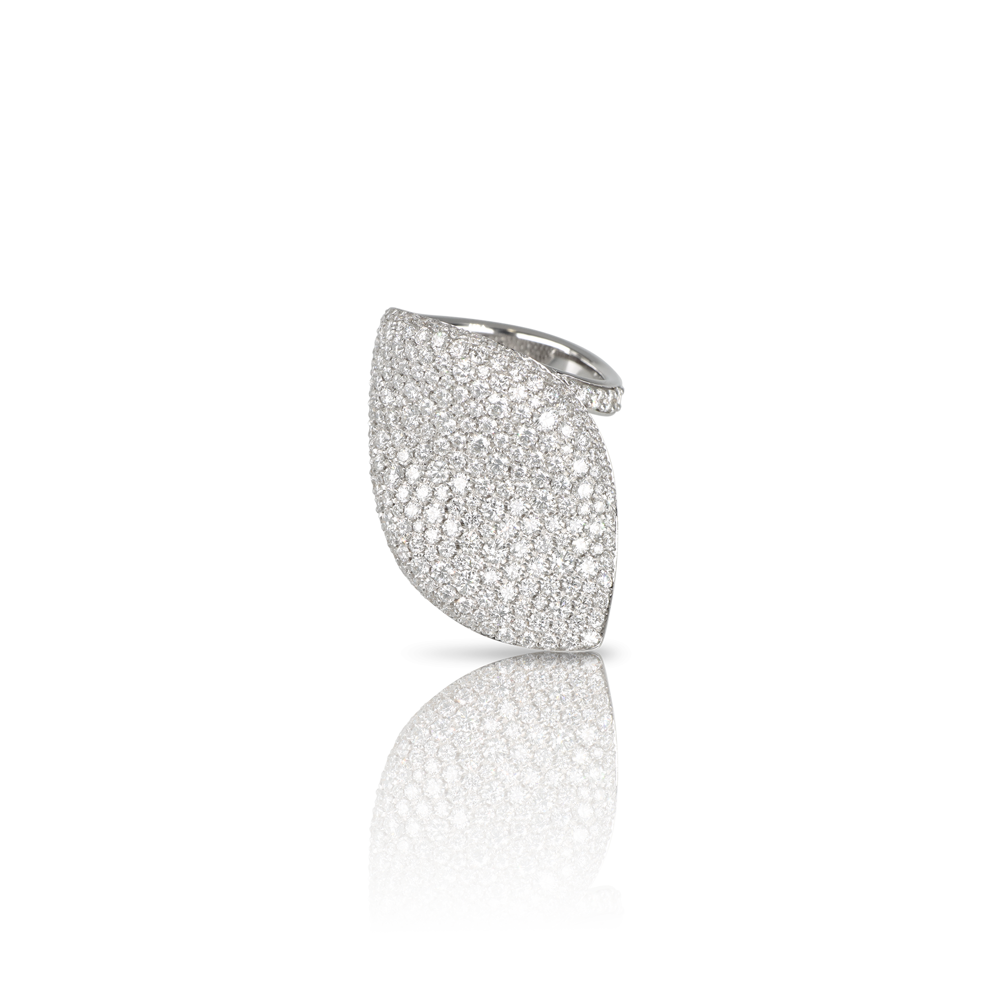 Pasquale Bruni - Aleluiá - White Gold - NZ