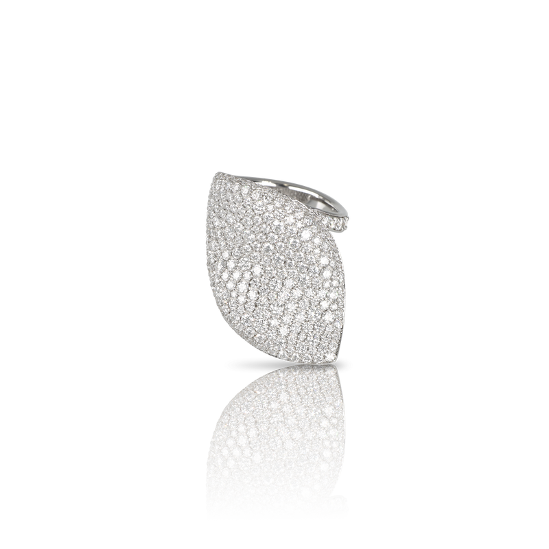 Pasquale Bruni - Aleluiá - White Gold - NZ