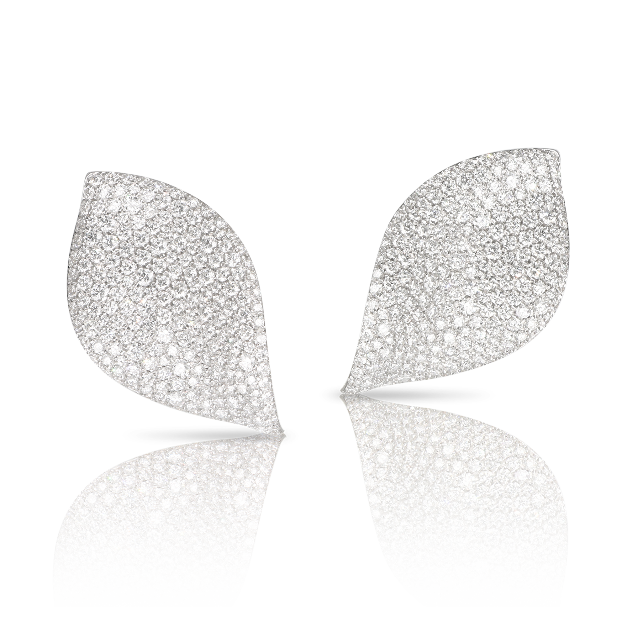 Pasquale Bruni - Aleluiá - White Gold - NZ