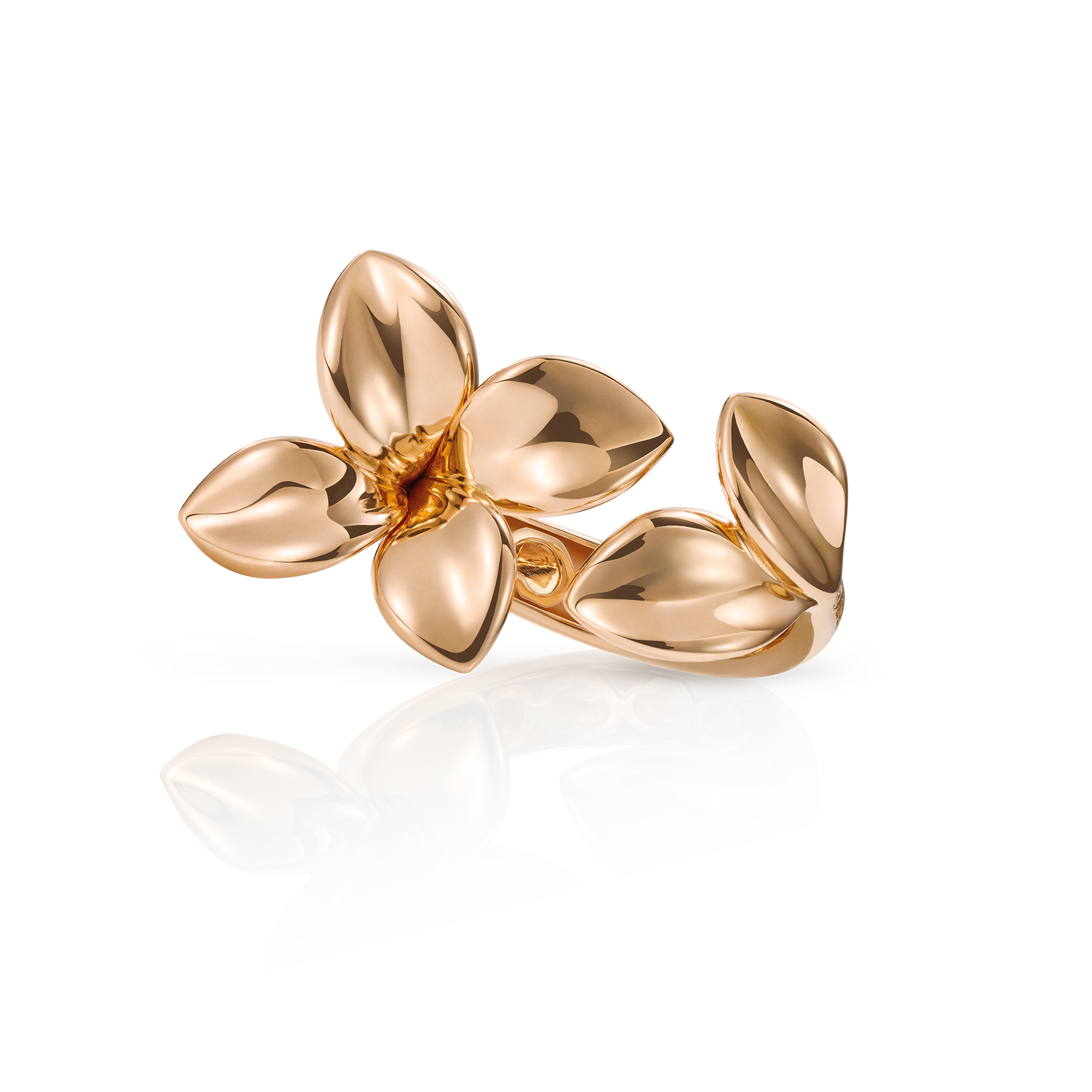Pasquale Bruni - Giardini Segreti - Rose Gold - NZ