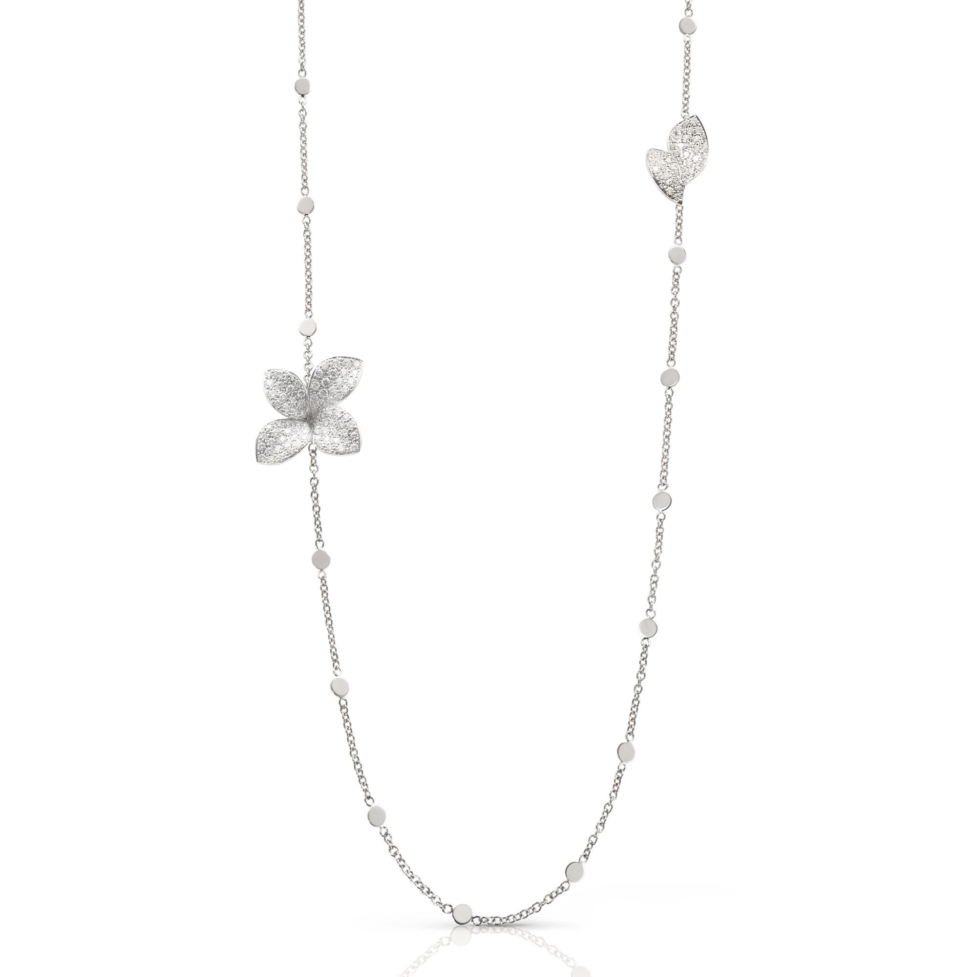Pasquale Bruni - Giardini Segreti - White Gold - NZ